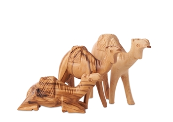 hand-crafted olive wood Camel set made in Bethlehem
